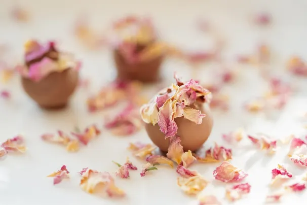 Казино Лотус Азия Android/iOS приложение